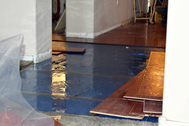 Professional Burst Pipe Cleanup technician working in Martinsburg, MO